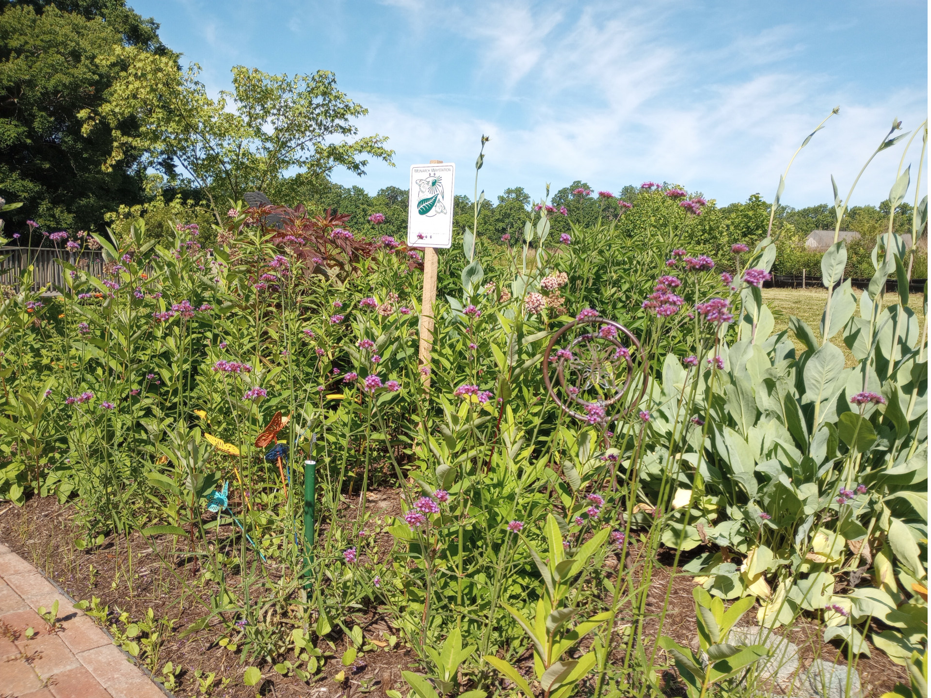 Pollinator-garden