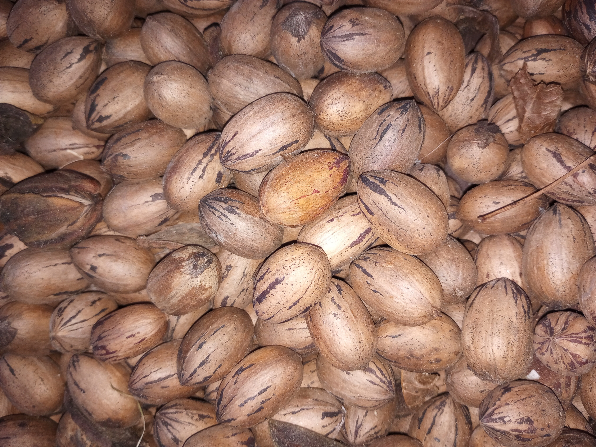 pecans