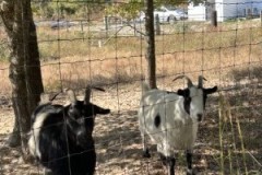 Aleta-Chambers_IMG_6171-Medium