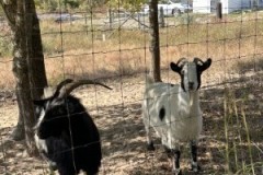 Aleta-Chambers_IMG_6172-Medium