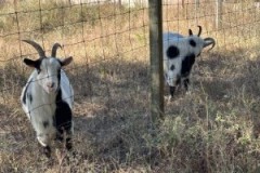 Aleta-Chambers_IMG_6174-Medium
